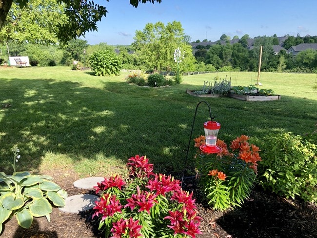 Photo - Wyndam Place