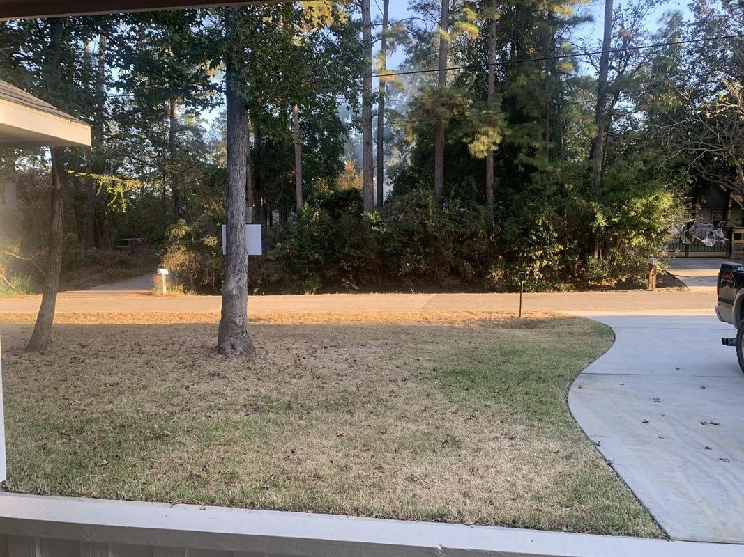 Photo - 10855 Royal Pines Dr