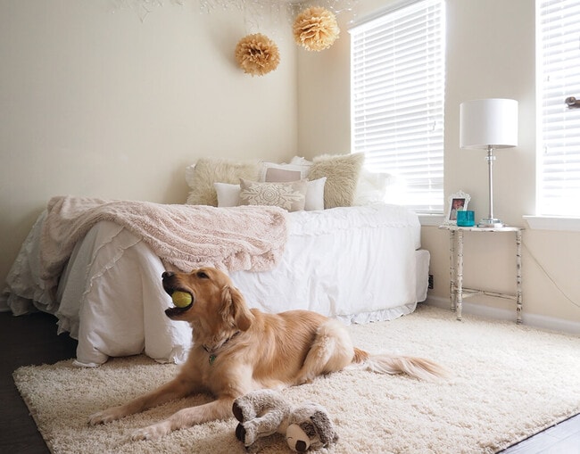 Bedroom furnished with Queen size bed