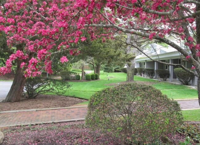 Photo - 221 Mill Rd Unit The Buoy