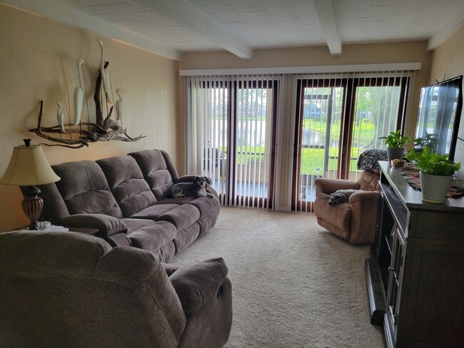 Living Area - 113 Golden Eye Dr Unit B