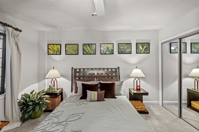 Rock Creek Springs Apartments