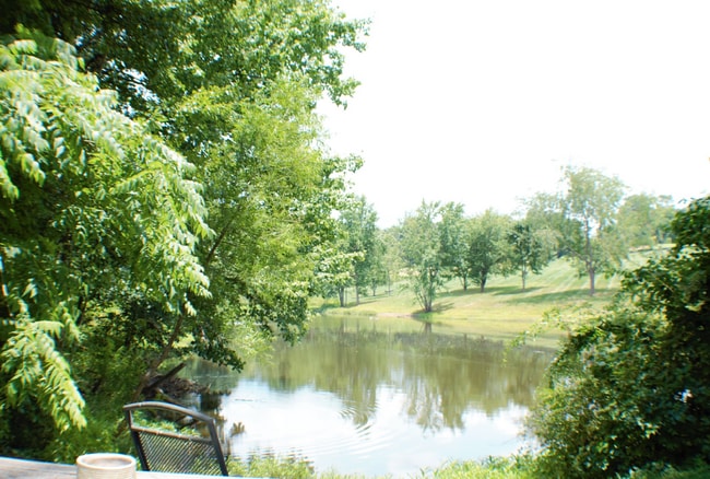 Photo - "Charming 3-Bed Retreat with Finished Basement & Fireplace in Scenic Mills River!" Furnished