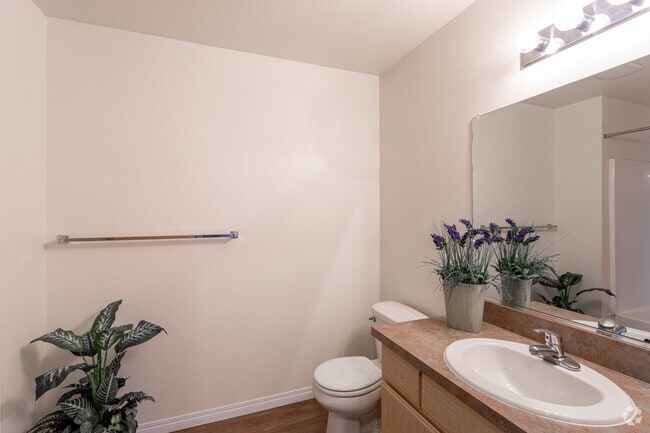 2BR, 2BA - 980 SF