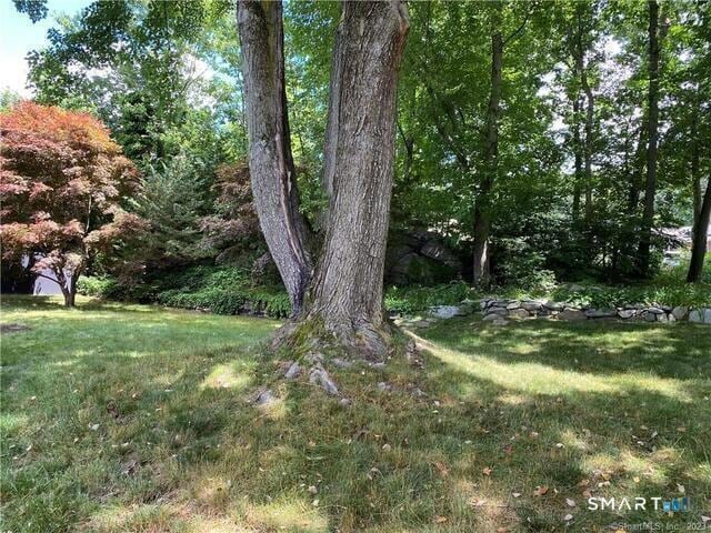 Photo - 10 Donohue Dr