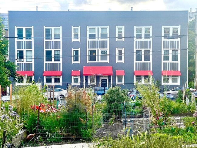 Photo - Scandia Mignon