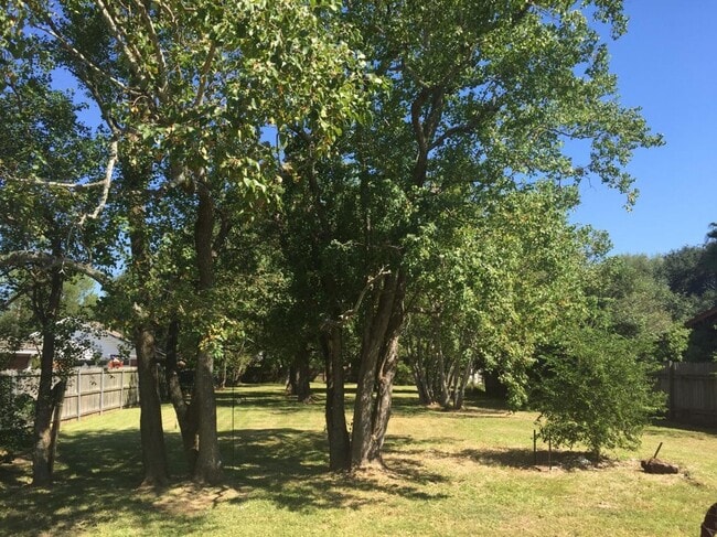 Photo - NISD HOME