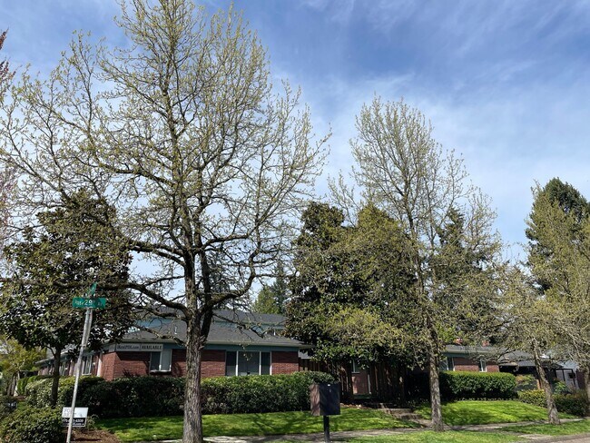 Photo - Lower 2bed/1bath in Alberta Arts! Off stre... Unidad 5513