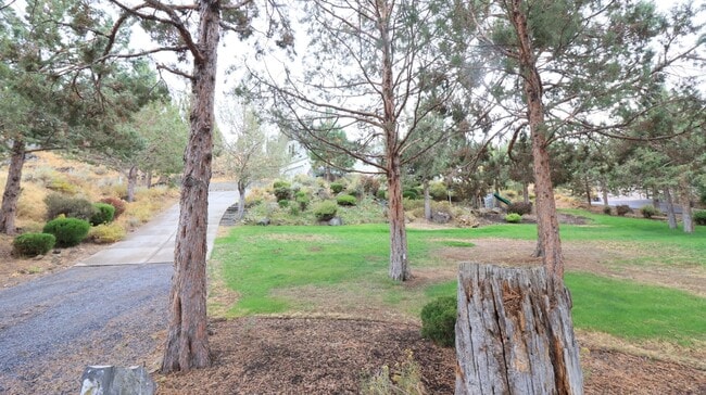66538 Ponderosa Loop