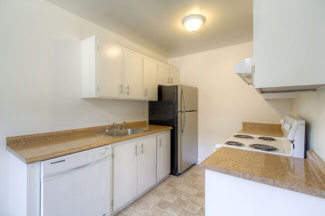 1x1 in Rincon Valley - Spacious and Bright! - 1x1 in Rincon Valley - Spacious and Bright! Apartment Unit 29