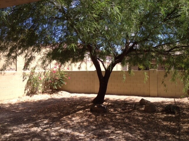 Photo - COMING SOON - Open and Airy 4 Bedroom Home with Private Pool in West Wing Peoria!!!