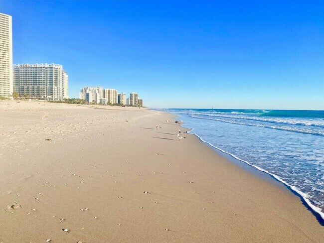 4100 N Ocean Dr Unit 803