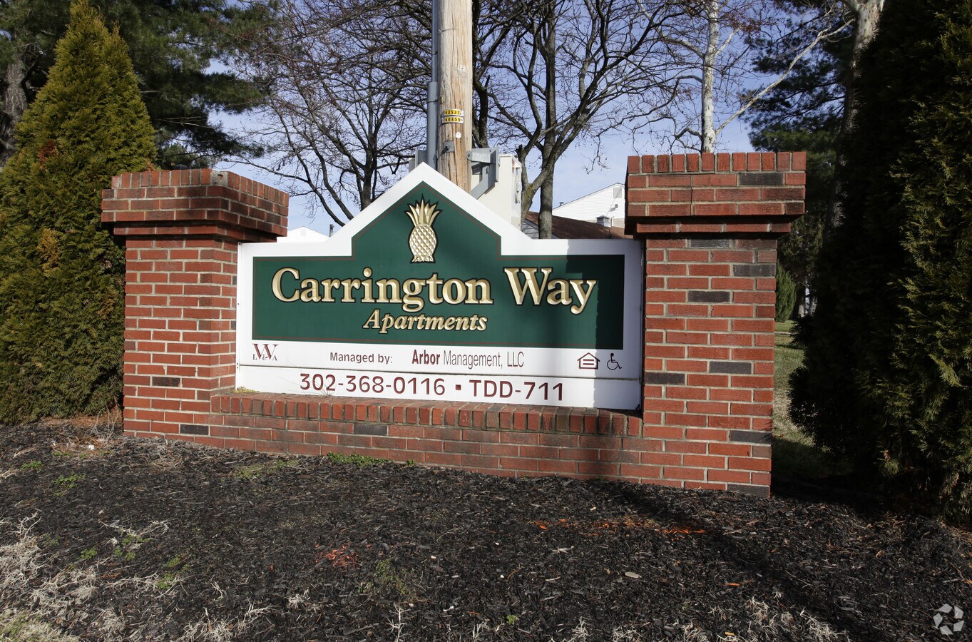Photo - Carrington Way