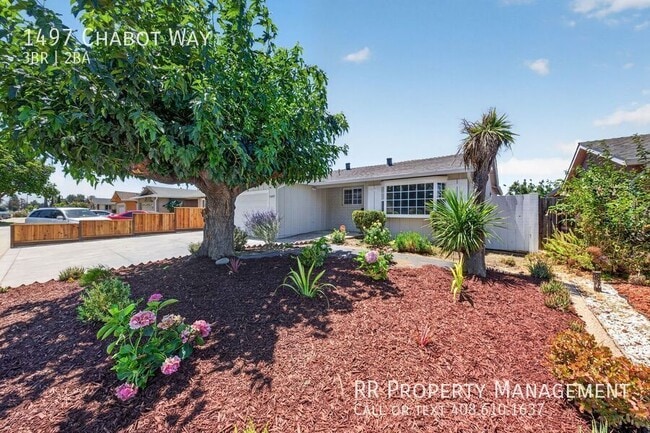 1497 Chabot Way