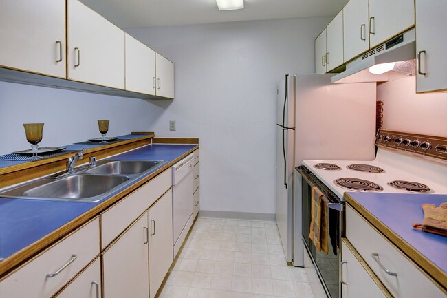 Chugach South Apartments - Kitchen - Chugach South Rental