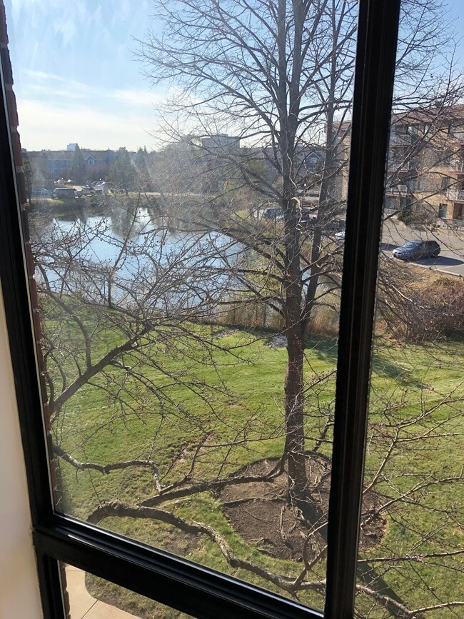 View from Kitchen window to pond & fountain - 5405 Chateau Dr Unit 5