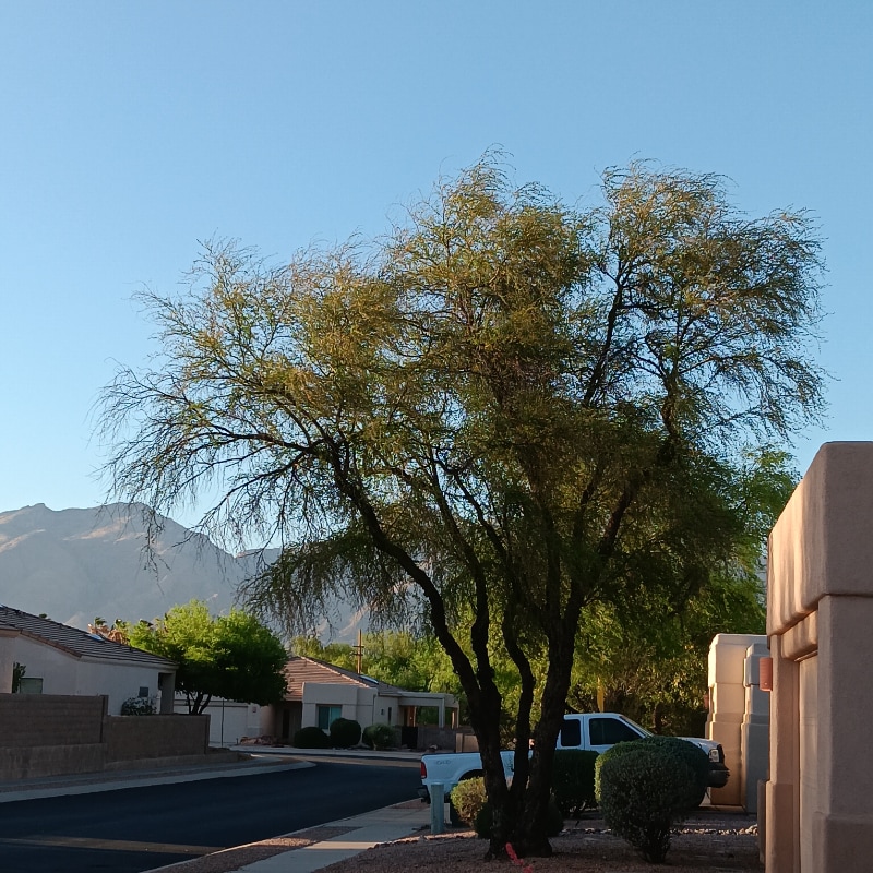 Photo - 742 N Ave Valiente