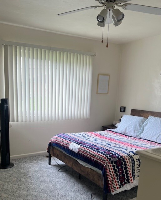 Photo - 54 Halifax Dr