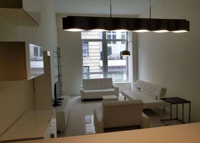 1 bedroom in NEW YORK NY 10038 - 1 bedroom in NEW YORK NY 10038 Condo Unit 815