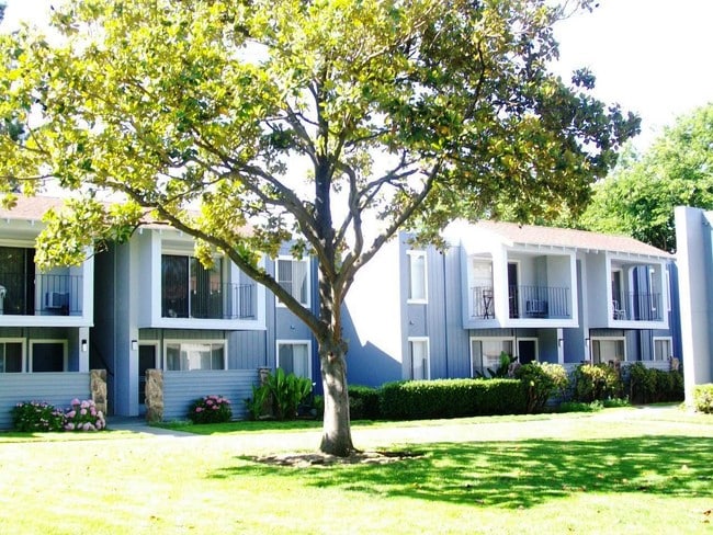 Photo - Park Branham