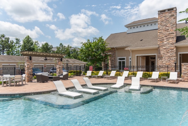 Photo - Red Knot at Edinburgh
