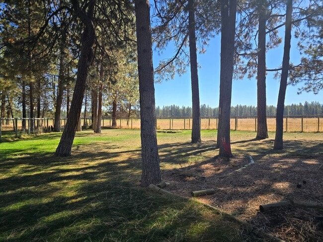 Photo - Live in Beautiful Tollgate and Minutes fro...