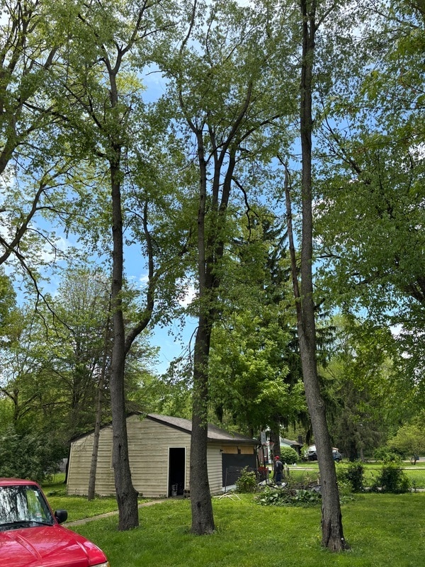 Photo - 5145 Patterson St