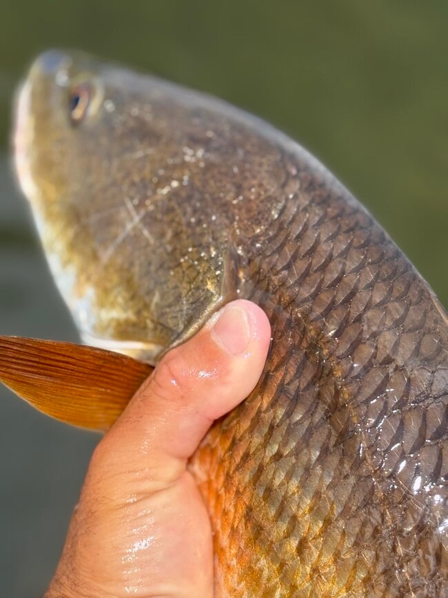 Photo - 350 79th Ave N Unit 122