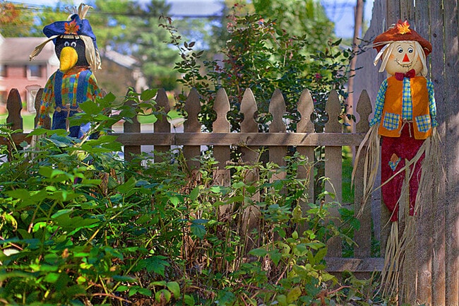 Photo - 2102 Windham Ln