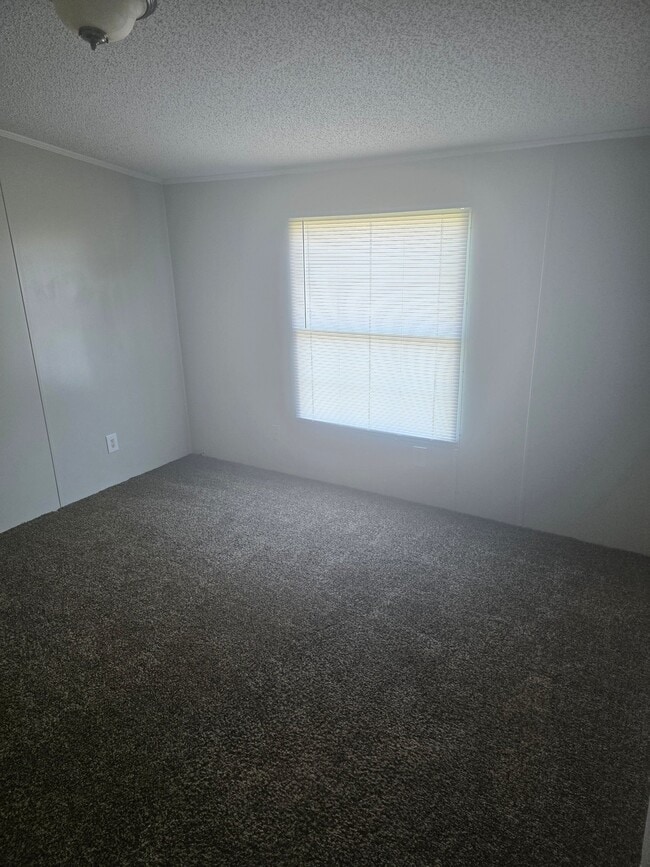 Photo - 1311 Knotty Elm Loop