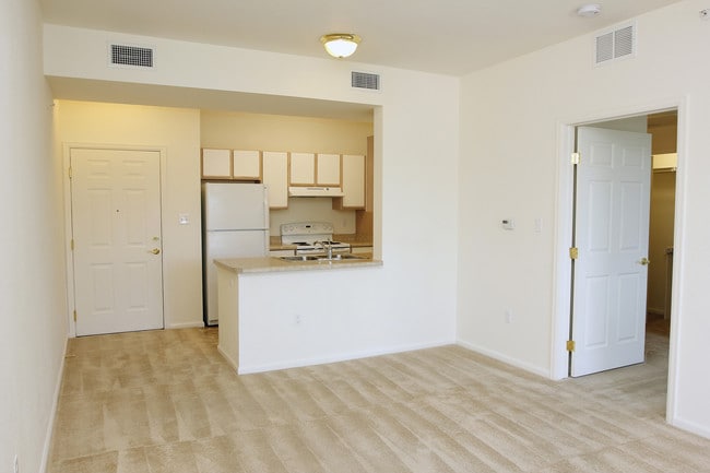 Photo - The Village at Homewood Point