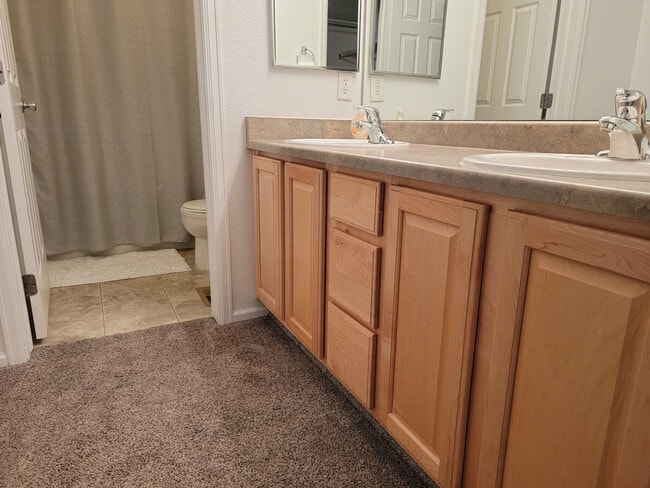 Photo - 479 Black Feather Loop Unit SI ID1045092P