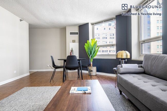 Photo - 750 N Rush St Unit FL13-ID269