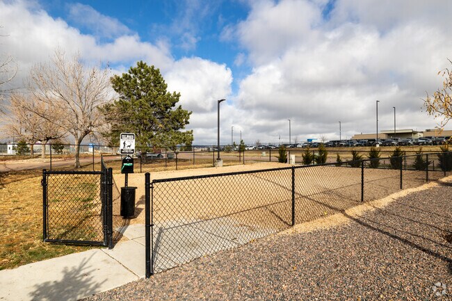 Dog Park