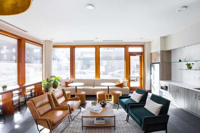 Photo - Forty One 11