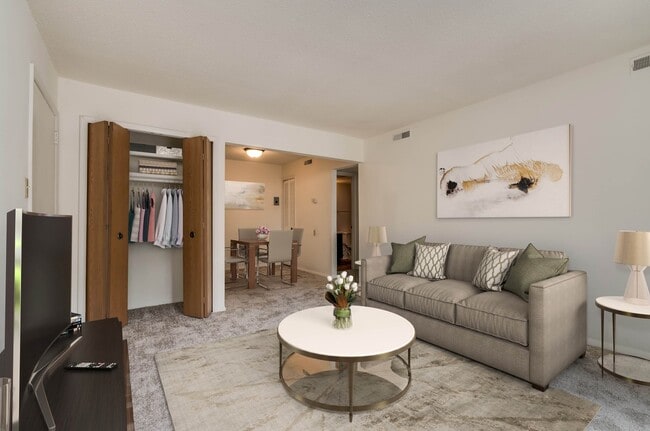 Photo - Lake in the Pines