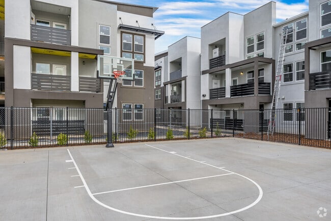 Basketball Court