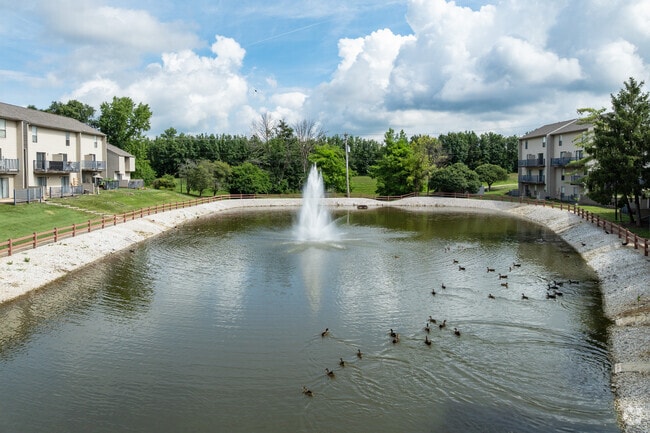 Pond with Fountain
