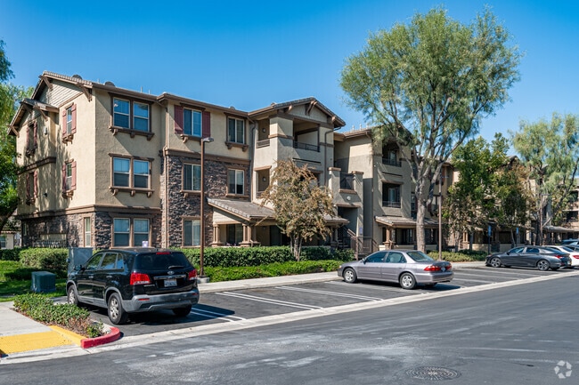 Meadow Square Apartment Homes - Meadow Square Apartment Homes