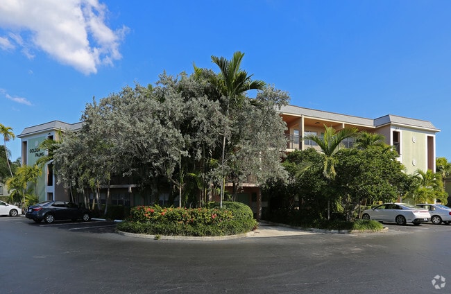 Golden Palms - Golden Palms