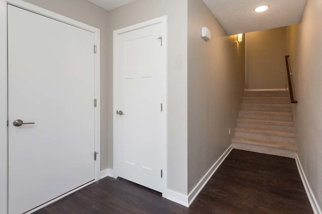 D3 - Entrada - 5Fifty5