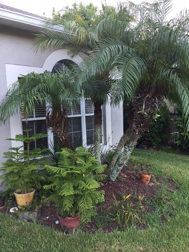 4830 Windingbrook Trail