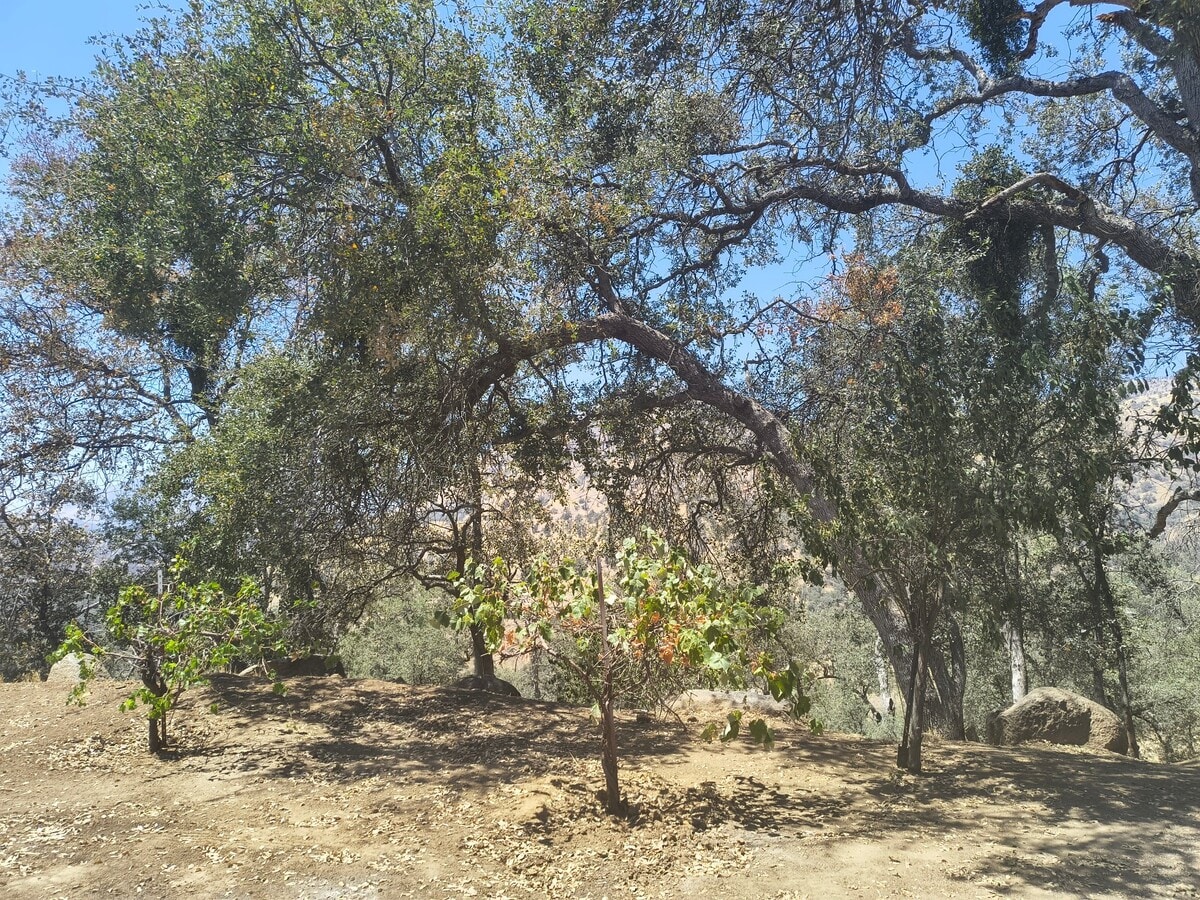 Photo - 35468 E Kings Canyon Rd