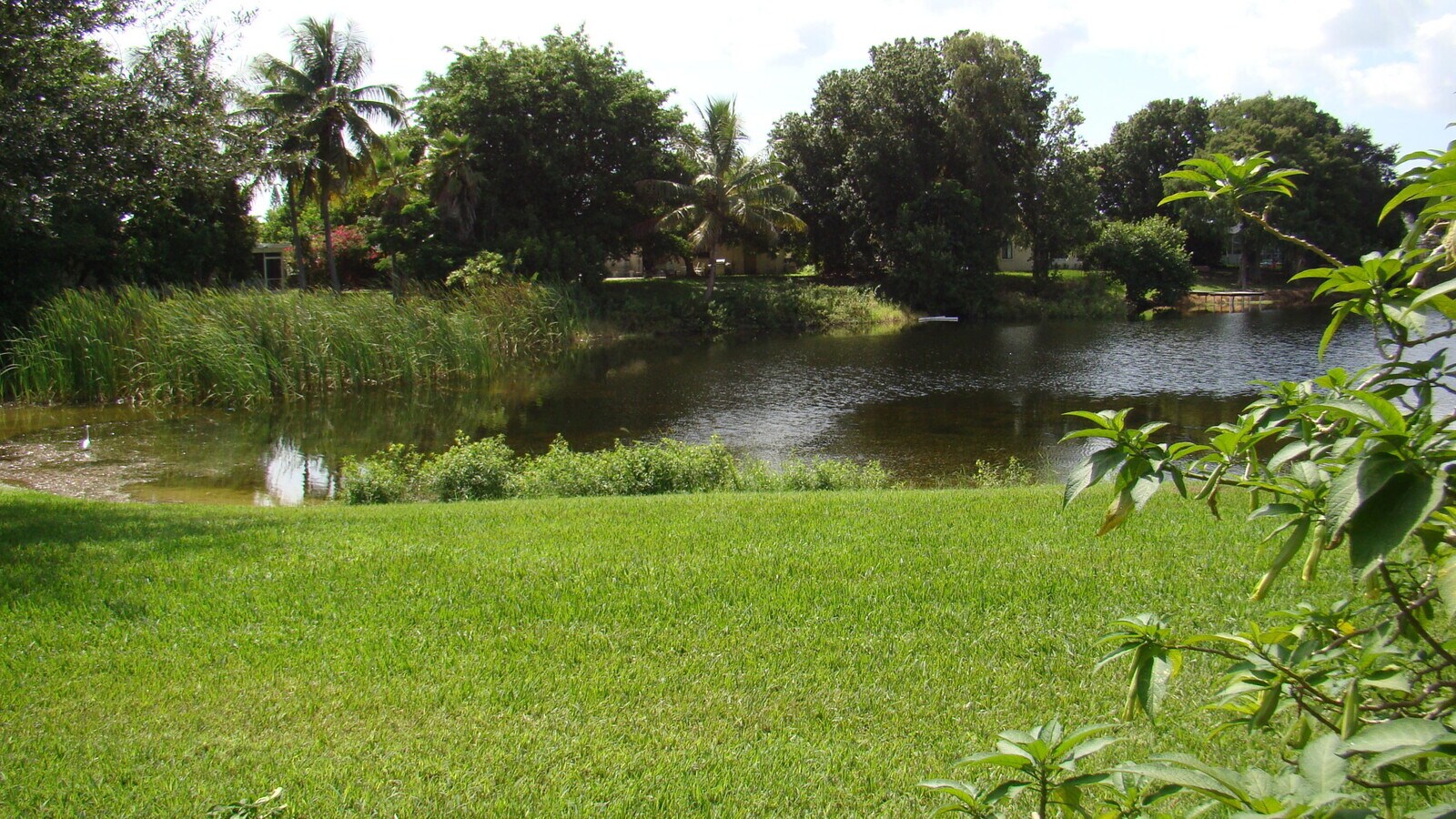 Photo - 3845 Victoria Dr