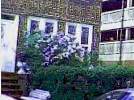 Photo - 1029 48th St Unidad 2 rear