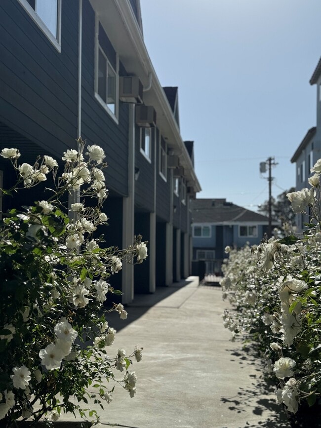 Photo - 1286 W Adams Blvd