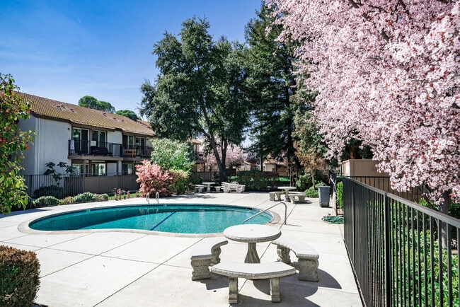 Cedar Springs Apartments