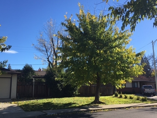 Building Photo - 1562 Oakroyal Dr Rental