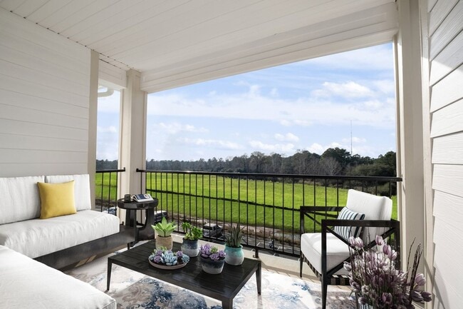 The Apex Luxury Apartments
