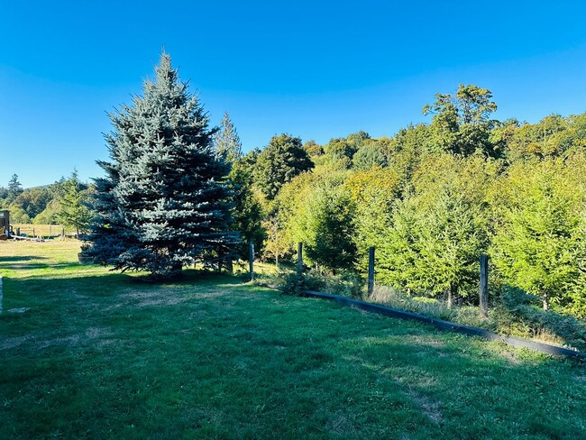 Photo - Beautiful Acreage Property